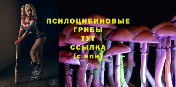 дживик Алексин