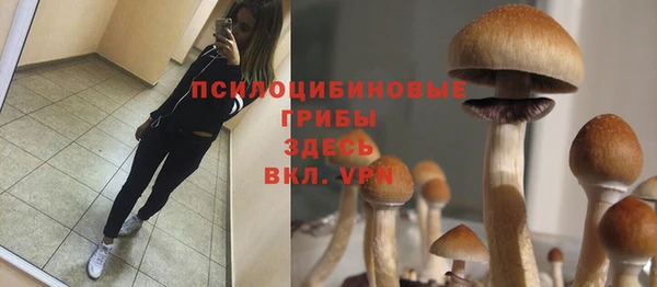 бутират Алзамай