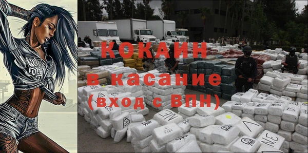 дживик Алексин