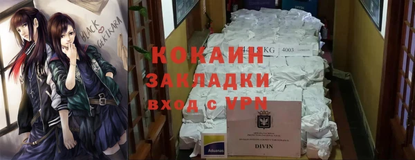 дживик Алексин