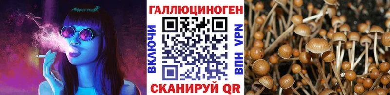 закладка  площадка официальный сайт  Галлюциногенные грибы Magic Shrooms  Кизел 